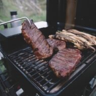 Traeger Ranger Portable Wood Pellet Grill Smoker - Image 3